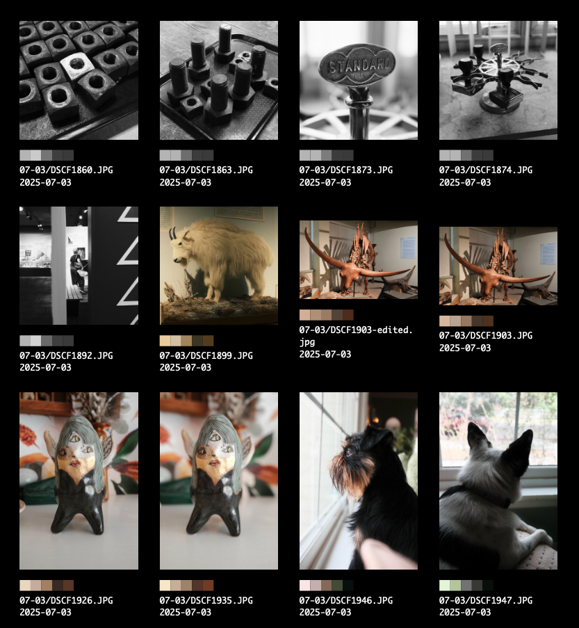 A contact sheet showing 12 photo thumbnails, with file names and color swatches