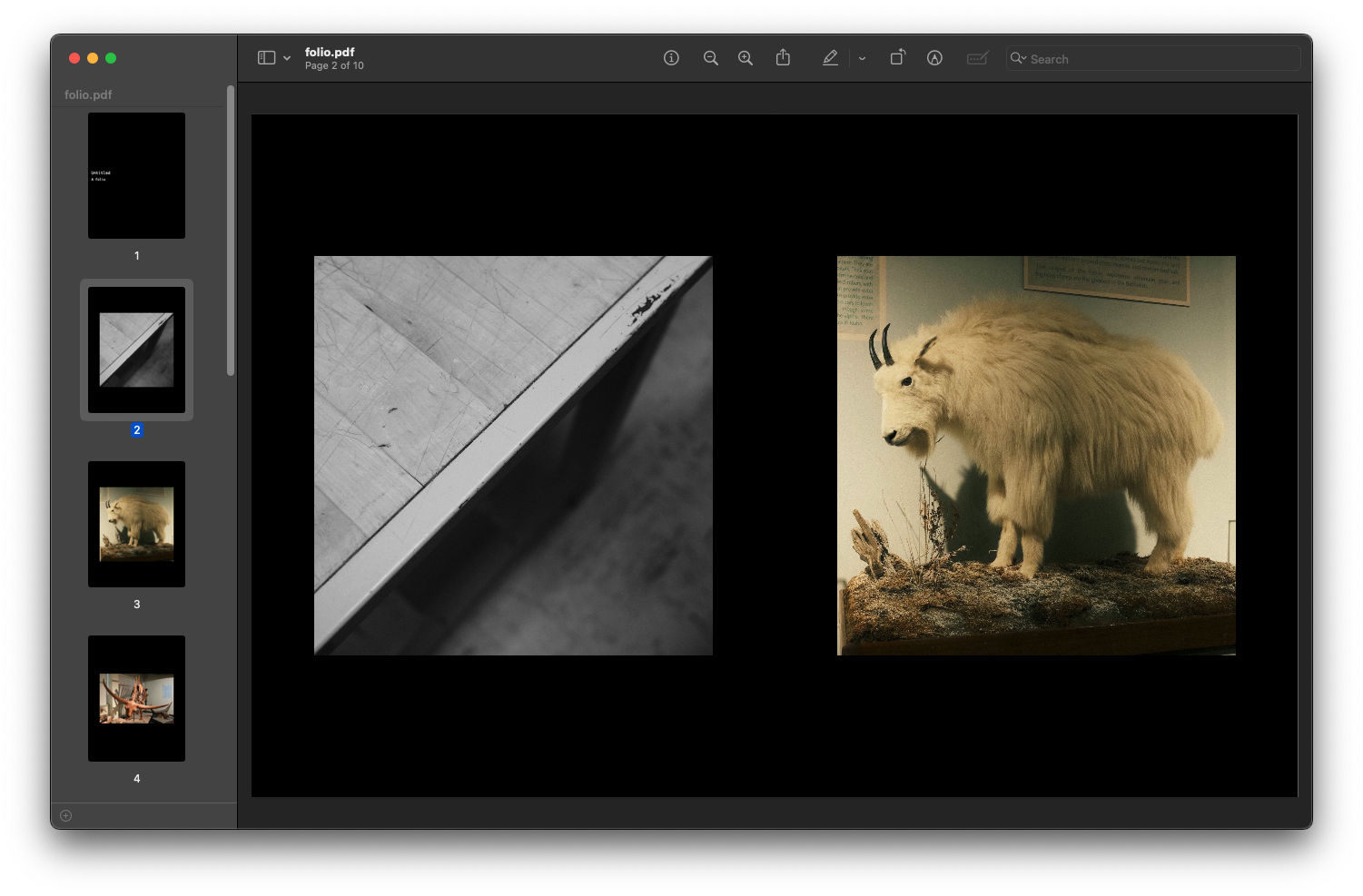 A view of the photos in a pdf viewer, showing two pages per screen