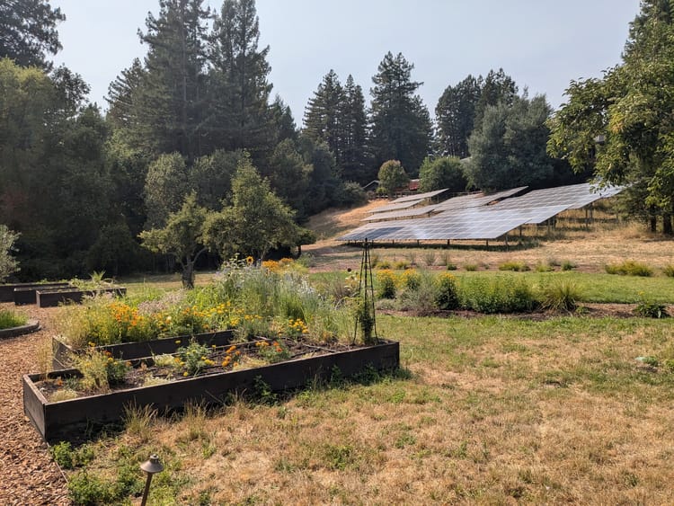 Solar panels next to a garden with container planters