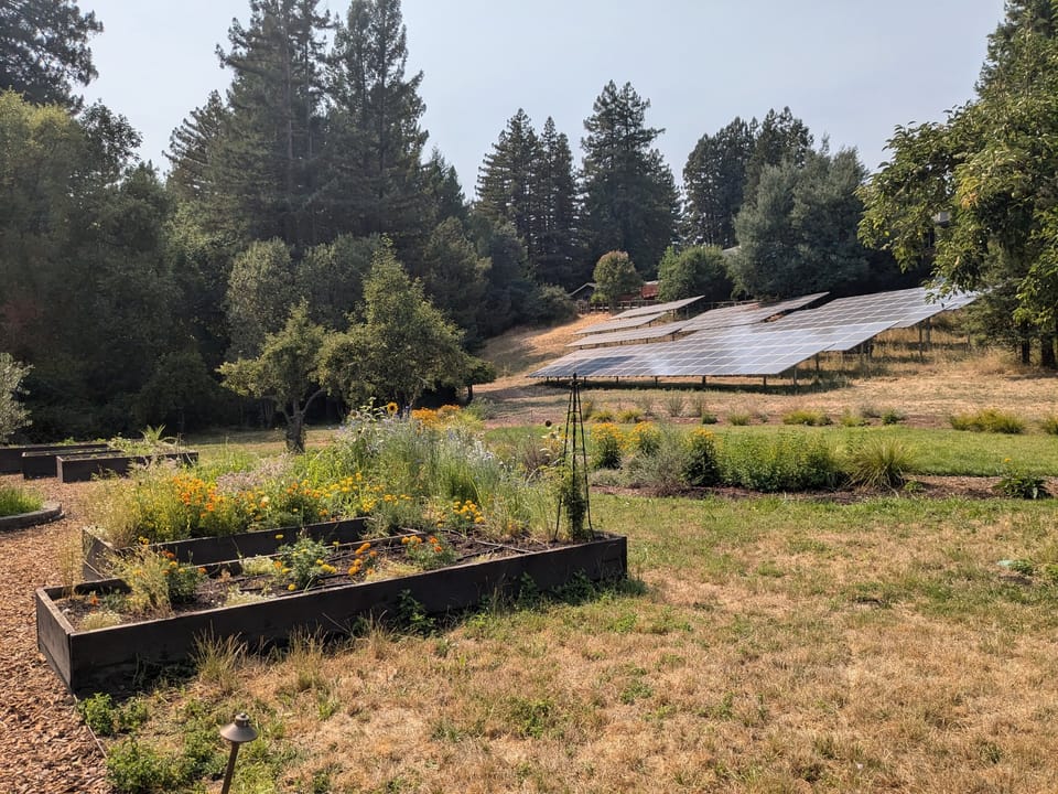 Solar panels next to a garden with container planters